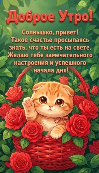 Доброе утро (350)