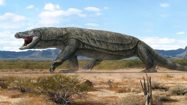 megalania