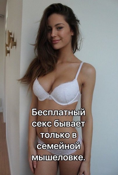 file_88604178