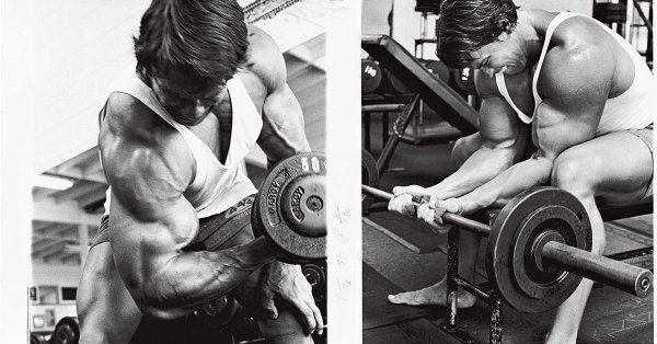 Arnold-armtaining