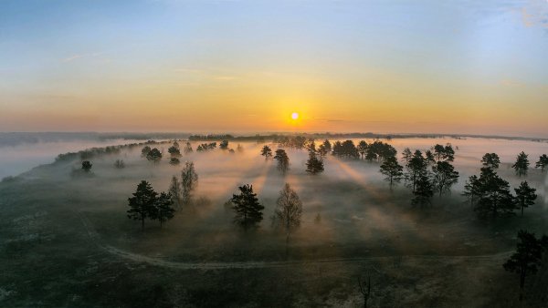 Рассвет