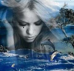 Ocean dolphins anima