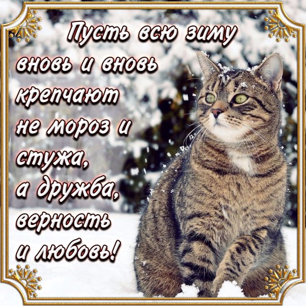 Zimnie-pozhelaniya0023