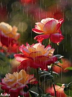 file_58208767