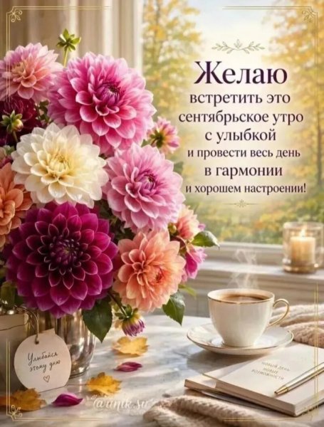 IMG 20260911 233905