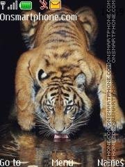 tiger-126505