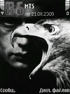 Black eagle