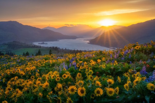 Columbia-river-gorge-tom-mccall-preserve-rowe