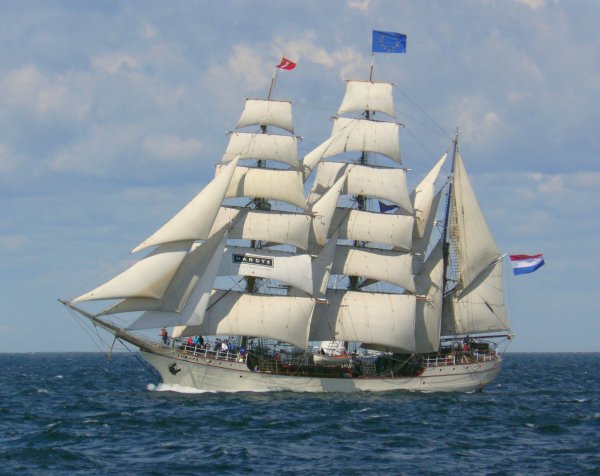 IMG europa viter59