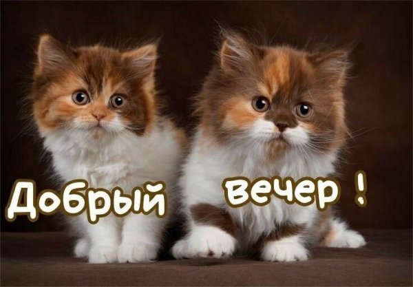 file_90288468