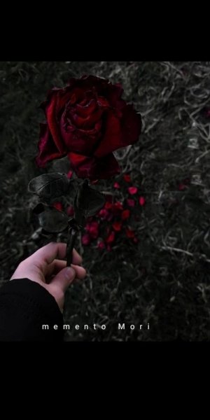 IMG 20240215 183146