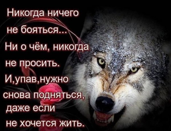 Запомни