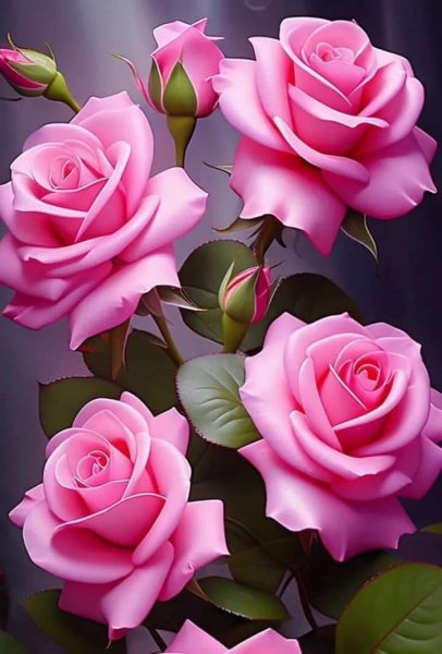 FB IMG 1714555727011
