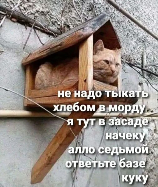 FB IMG 1773337631042