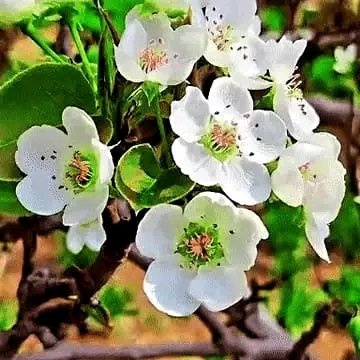 file_95695476