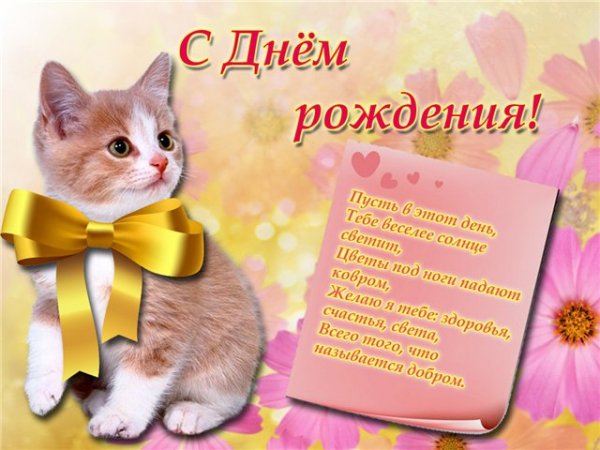 file_81299681