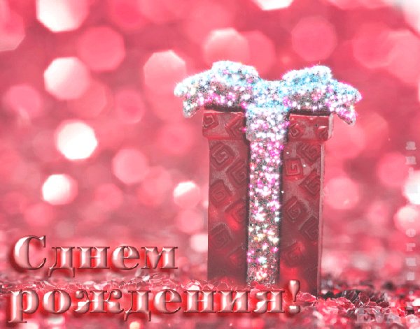 0 d2d87 73adc36c XL