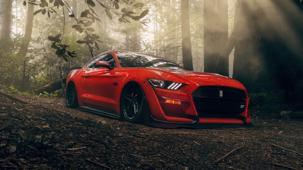 06-14-ford-mustang-in-the-forest