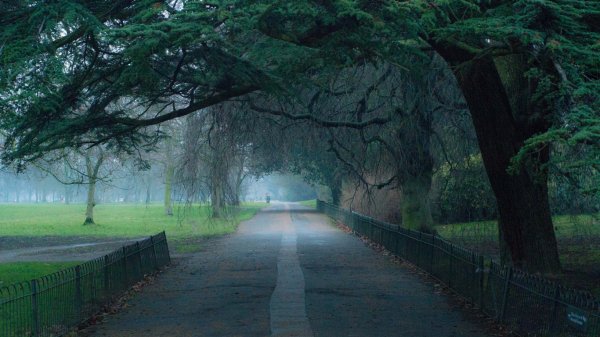 Park-doroga-alleya-tuman