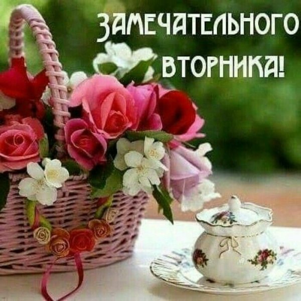 file_96785600