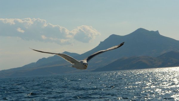 file_84291911