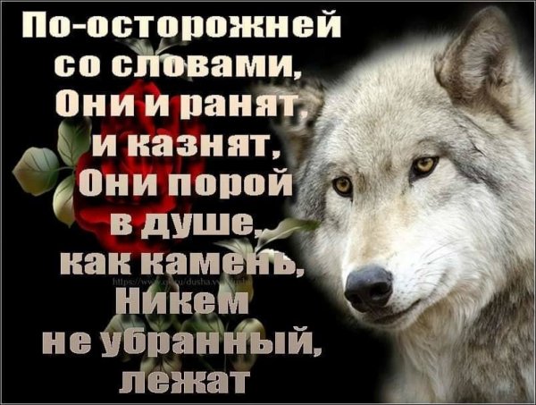 Осторожней