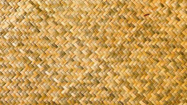 World of Bamboo Premium 2