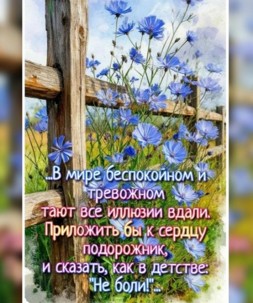 IMG 20260422 235554