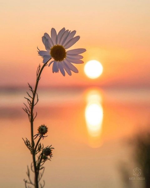 file_96833148