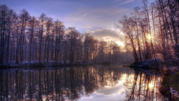 file_75460523