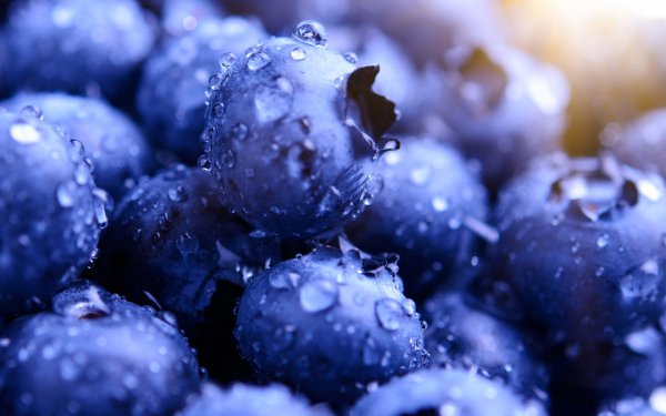 blueberries hd-wide
