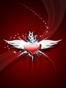 love 4b944bd262c8e