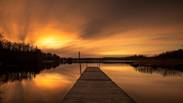file_94225177