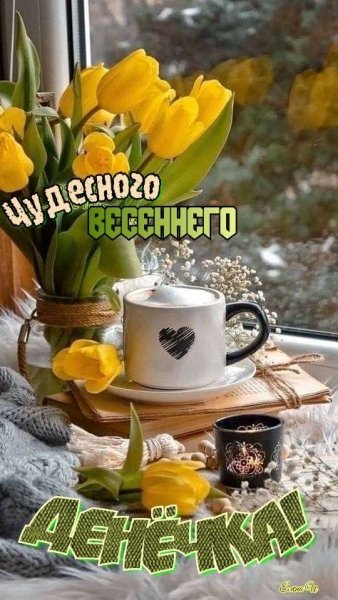 file_92954046