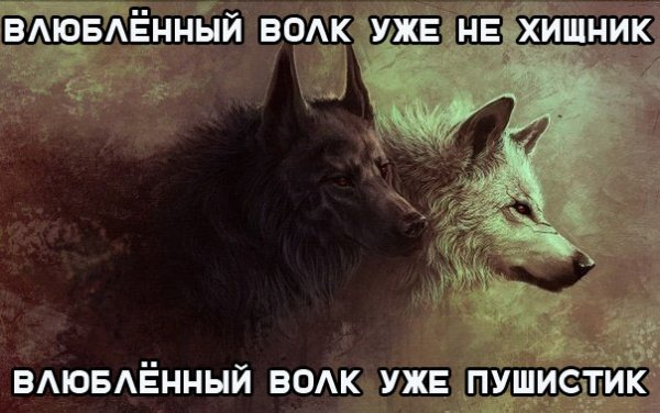file_82940342