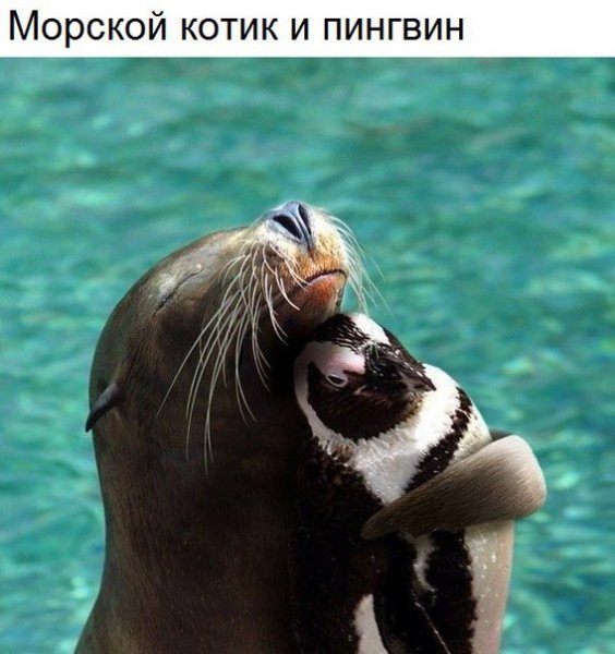 elfIYwOGrr4