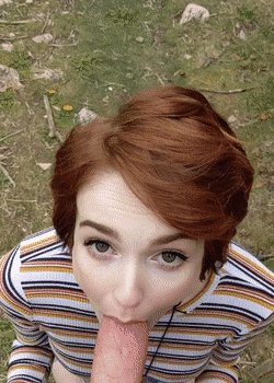 А000000003