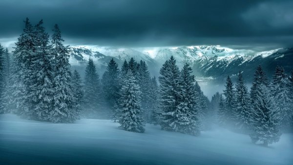 file_100367535