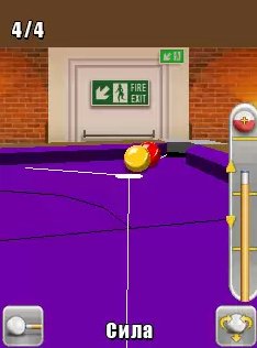 anytime pool (1)