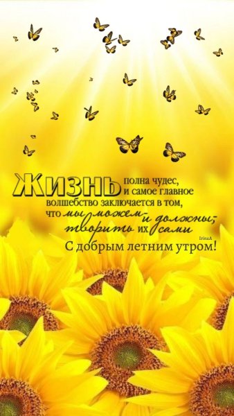 file_93796036