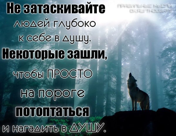 Не затаскивайте