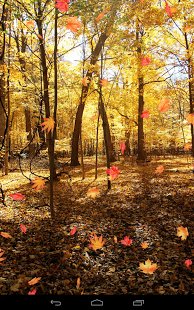 Autumn Wallpaper 1.4