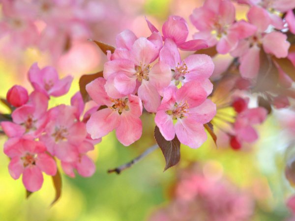 file_93188036