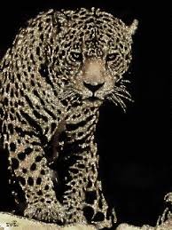 images012