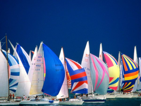 Regatta Lake Constance Germany