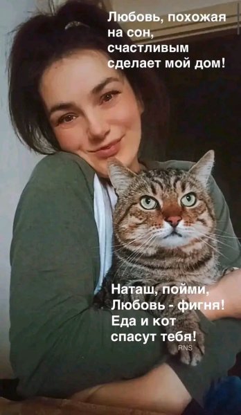 file_103311467