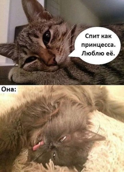 753