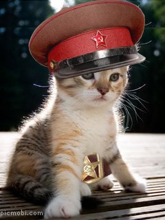 23 февраля