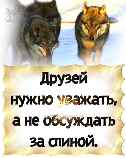 IMG 20260123 055550
