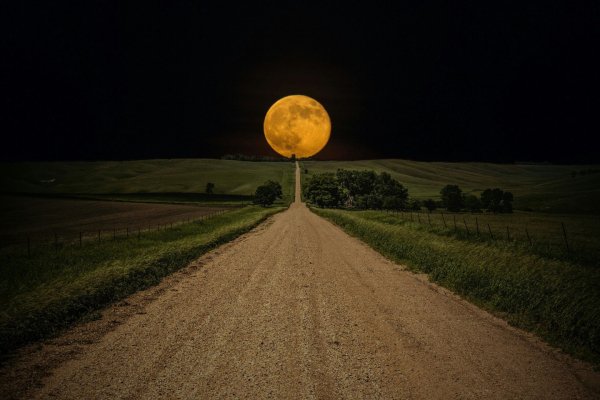 Moon